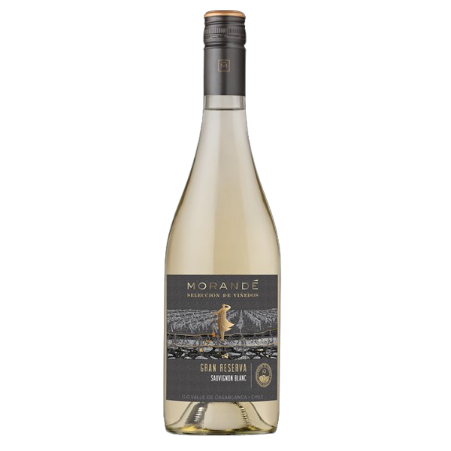 Morande Gran Reserva Sauvignon Blanc
